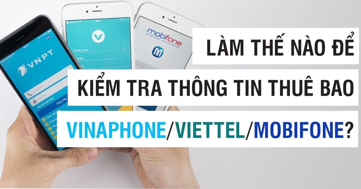 Lưu Ý Khi Kiểm Tra Và Cập Nhật SIM Chính Chủ Lưu Ý Khi Kiểm Tra Và Cập Nhật SIM Chính Chủ