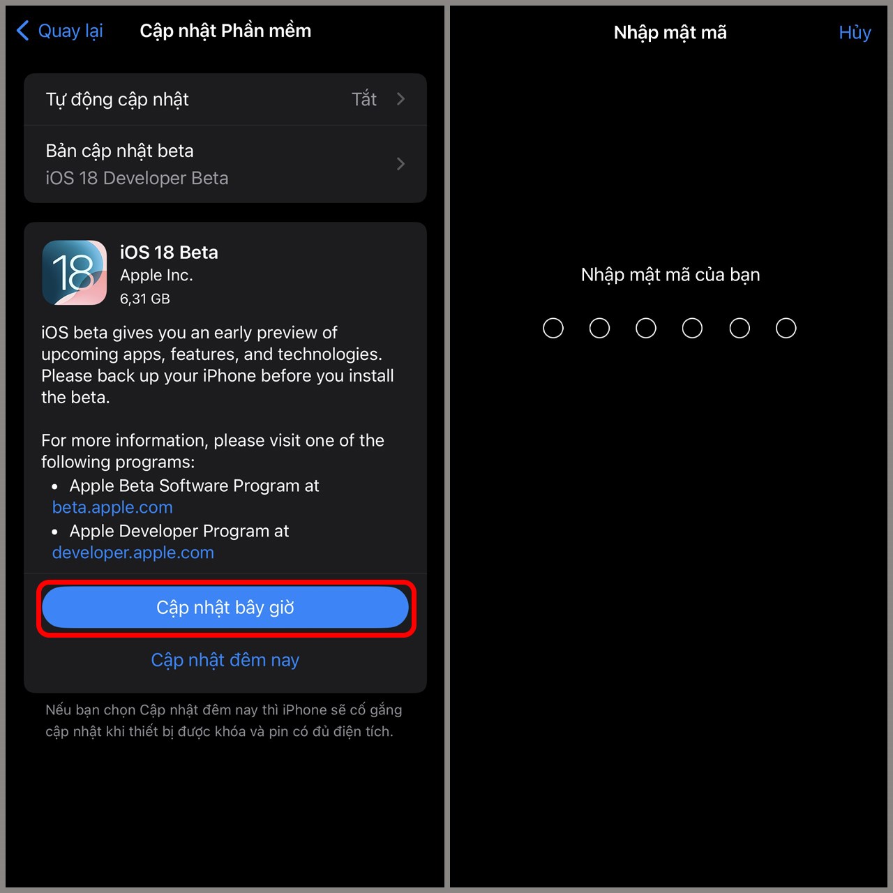 Nhập mật m&atilde; để bắt đầu tải về v&agrave; c&agrave;i đặt iOS 18 Beta 1 nh&eacute;